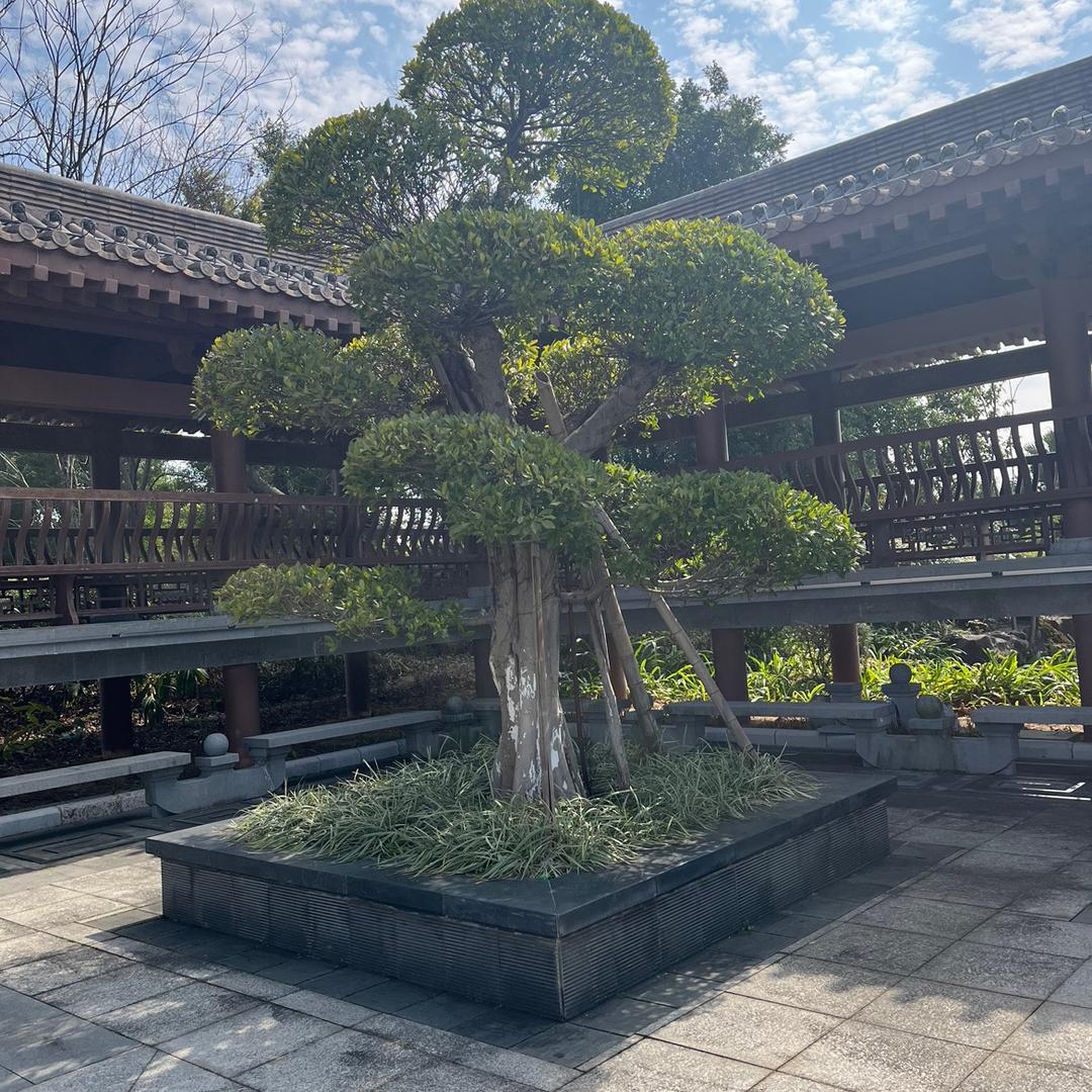 守望幸福