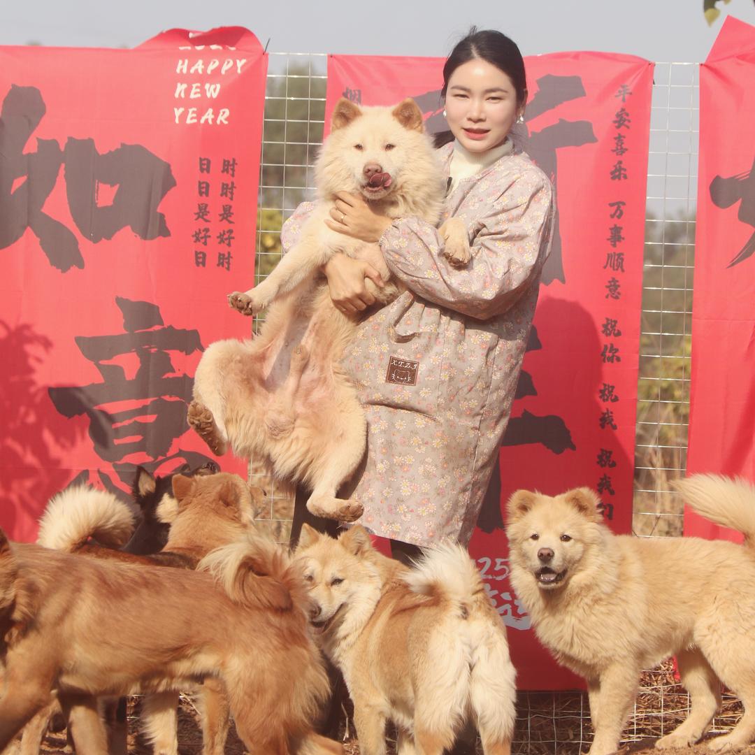 田园犬繁殖驿站（梅姐小号）