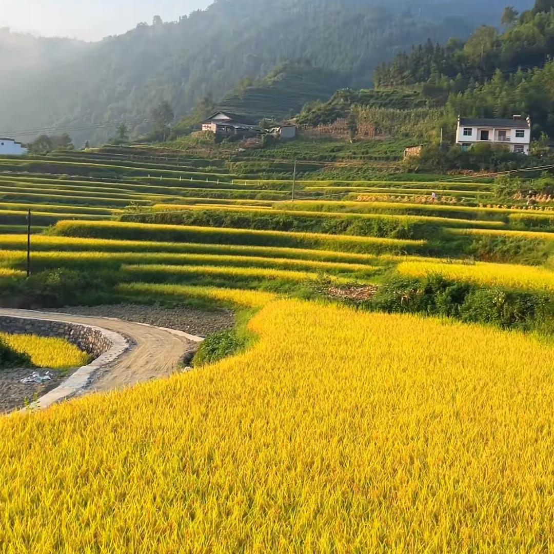 安安的农场