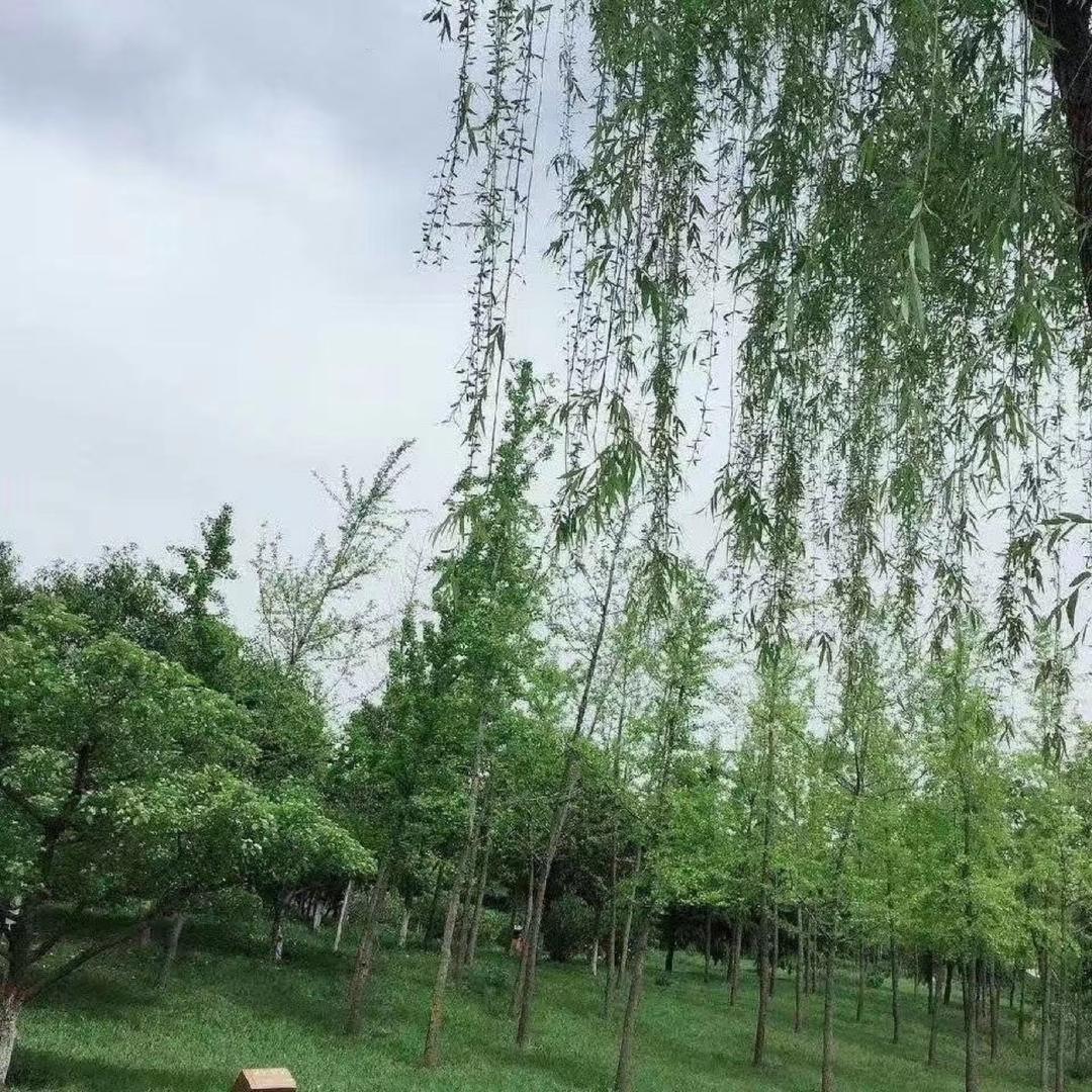 এ᭄浅墨এ᭄࿐