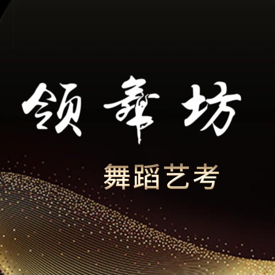 领舞坊舞蹈艺考