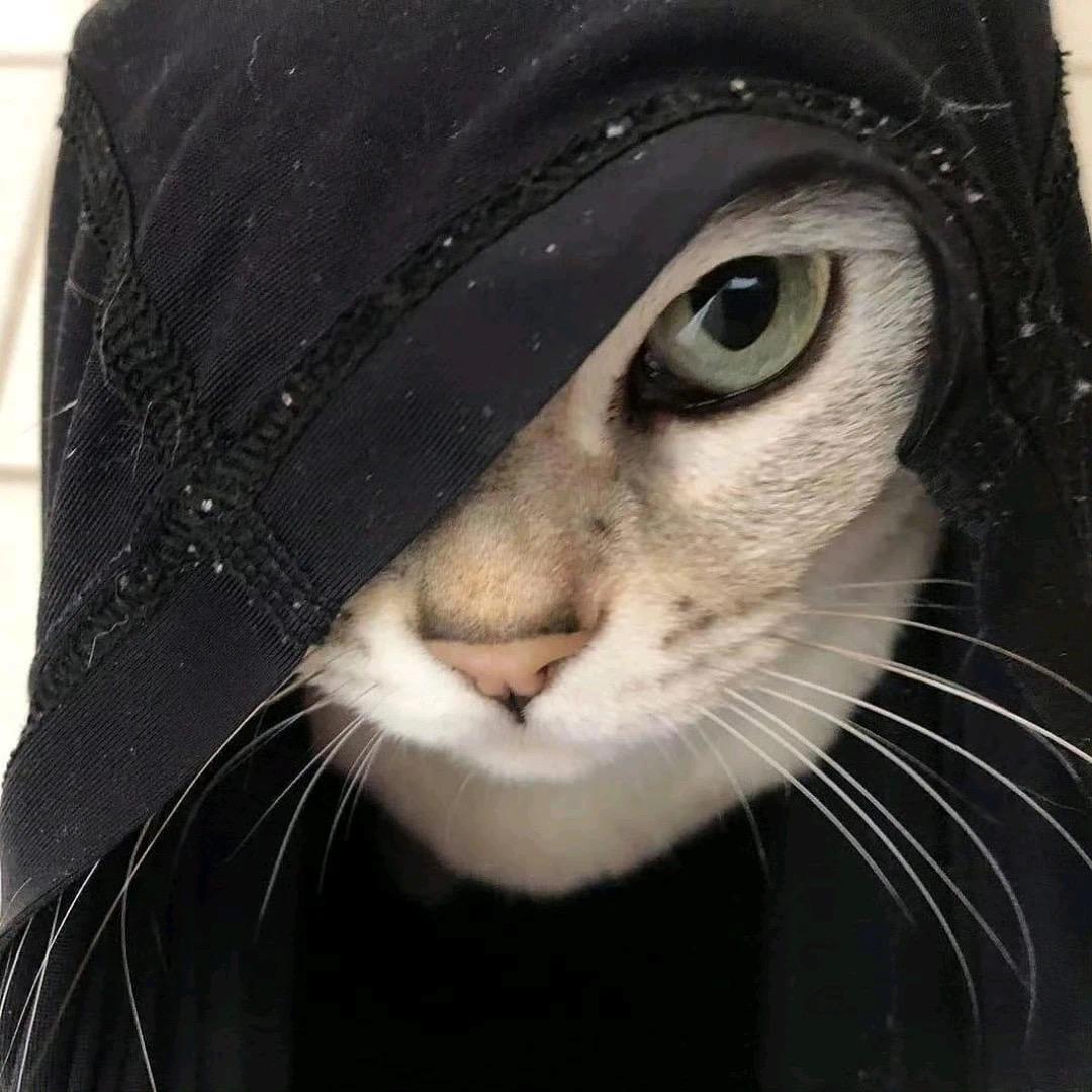 Llllll