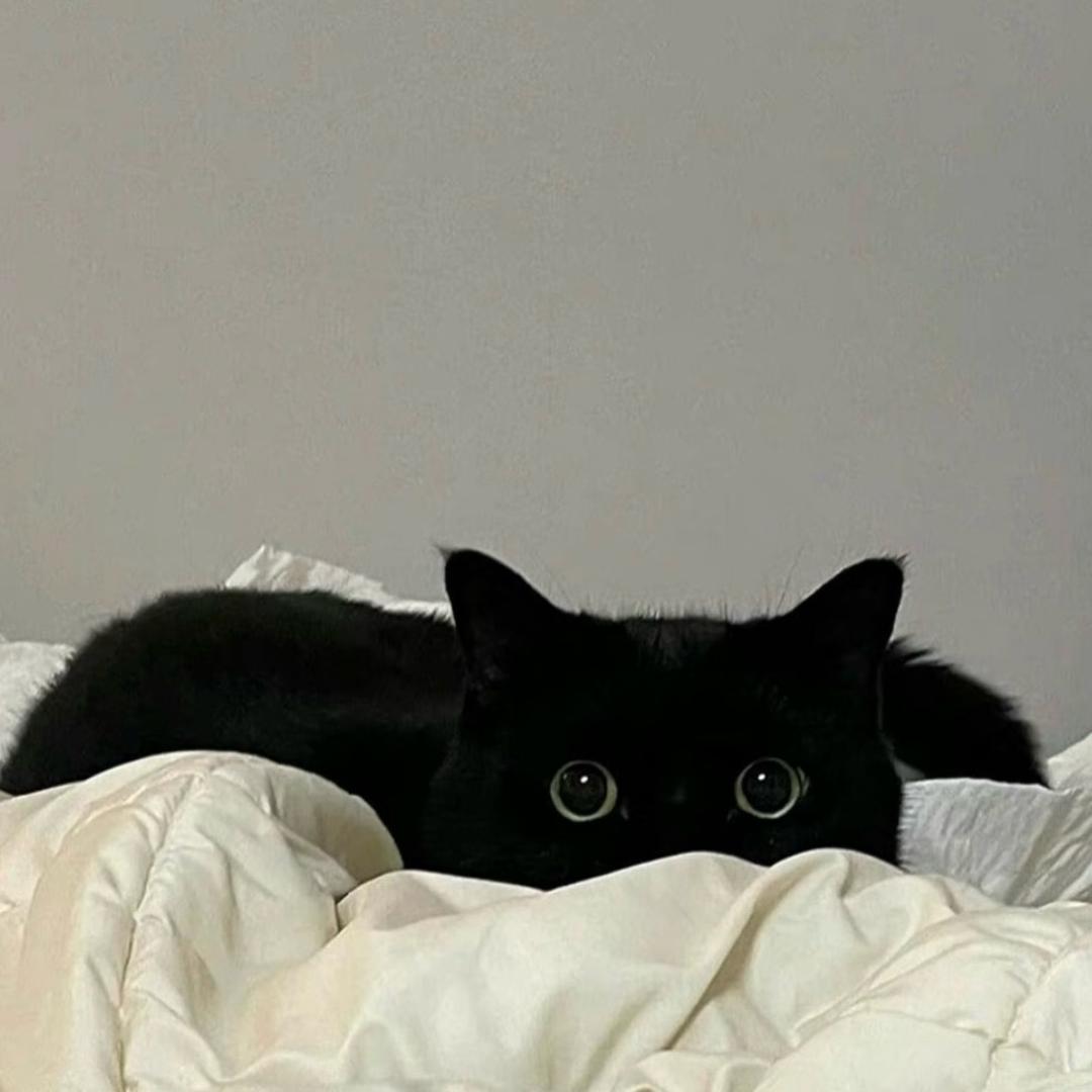 🐾