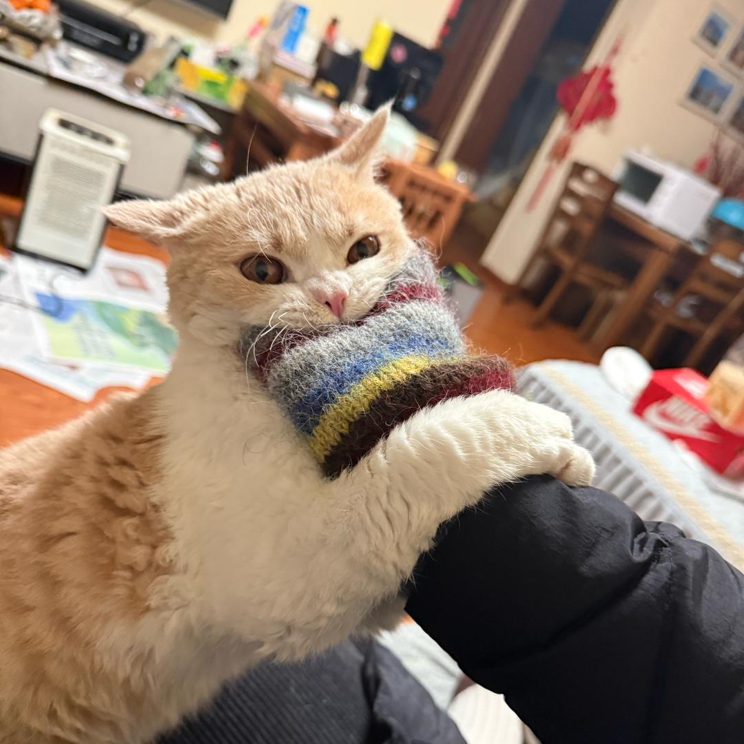 和过过（过儿）