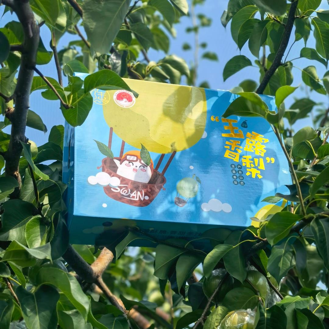 一山一市生鲜水果