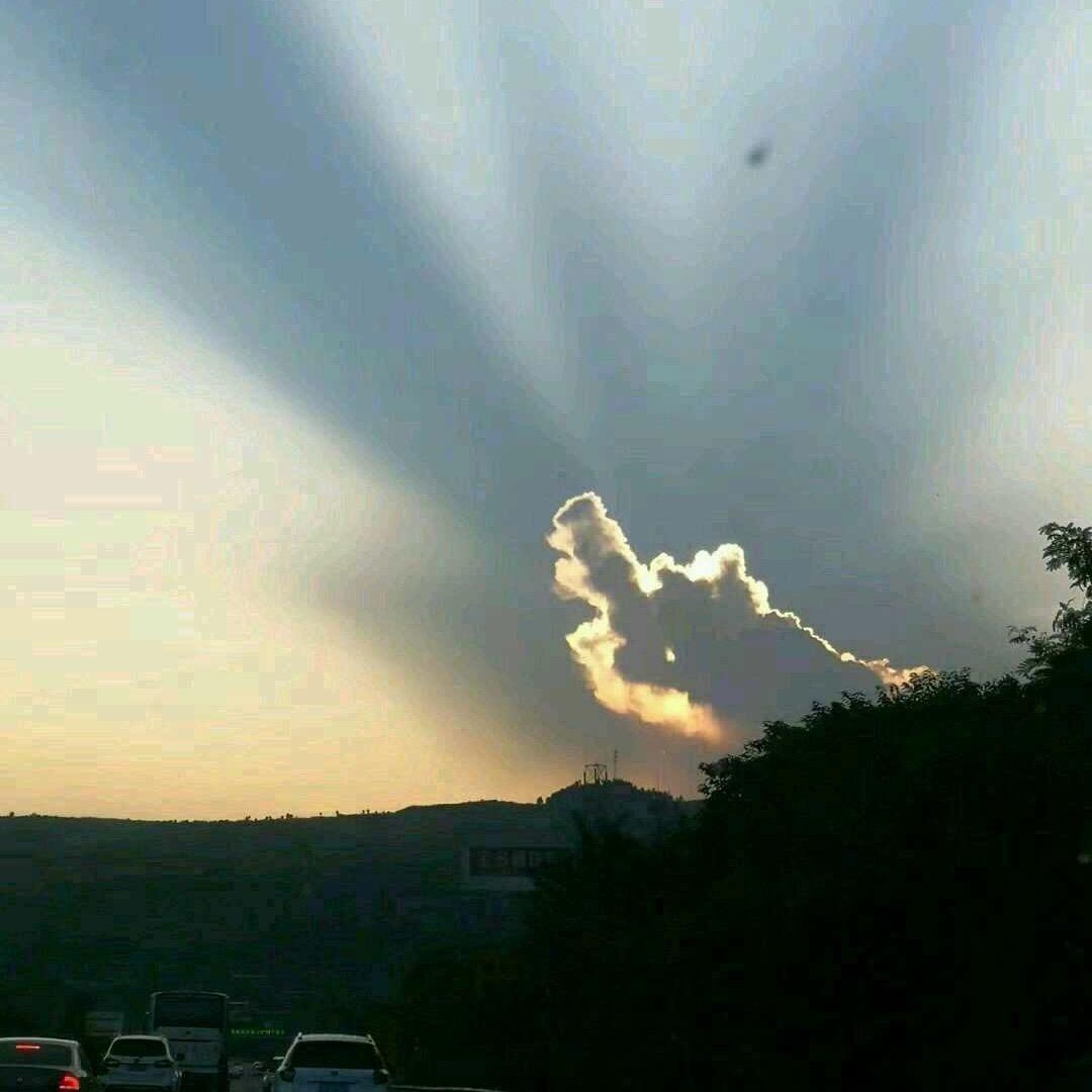 🌈地表飞行员🌈