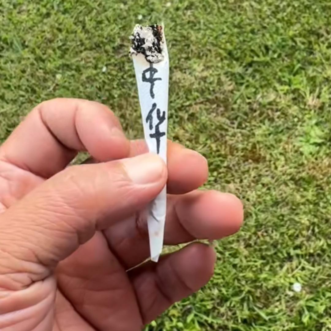 达哥🍁