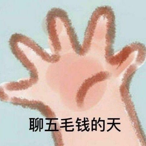 猫猫猫猫