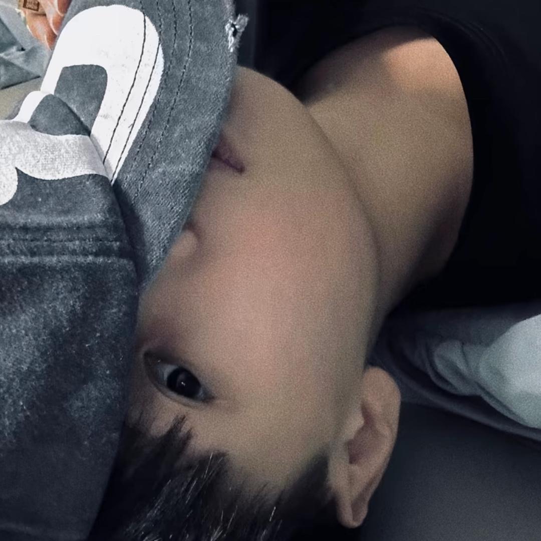 豆绵羊