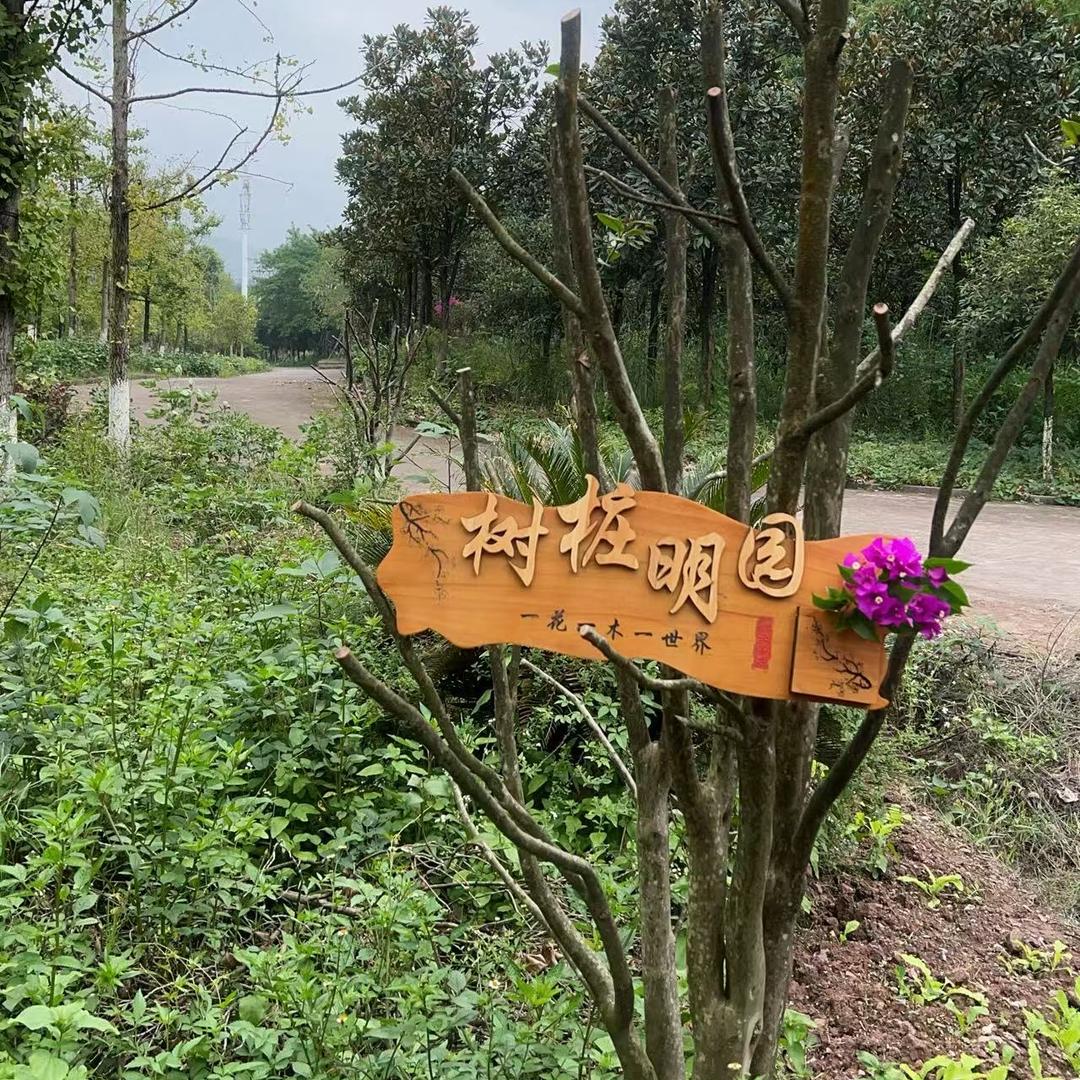 花之缘园艺种植精选铺子