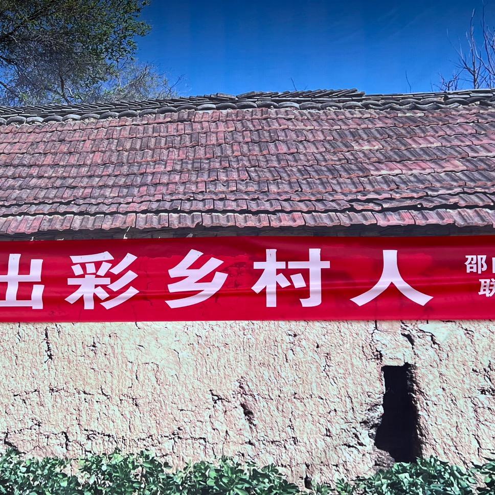 出彩乡村人