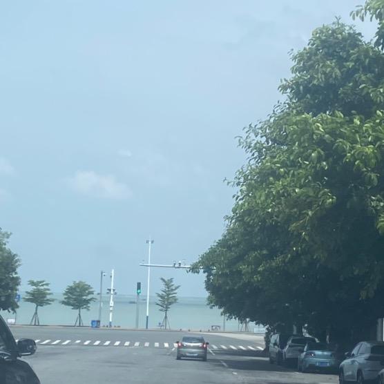像白色的黑