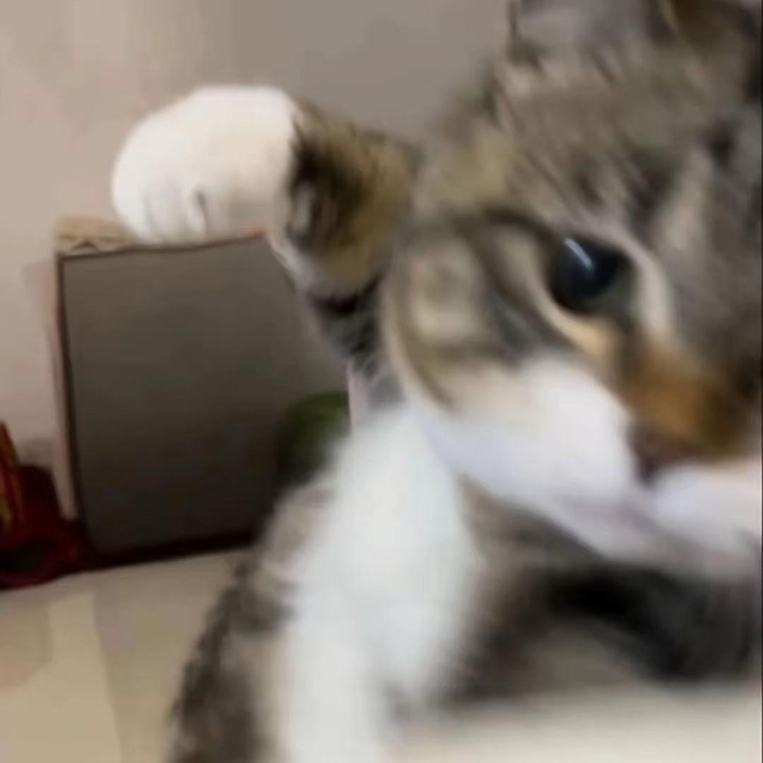 painnomore
