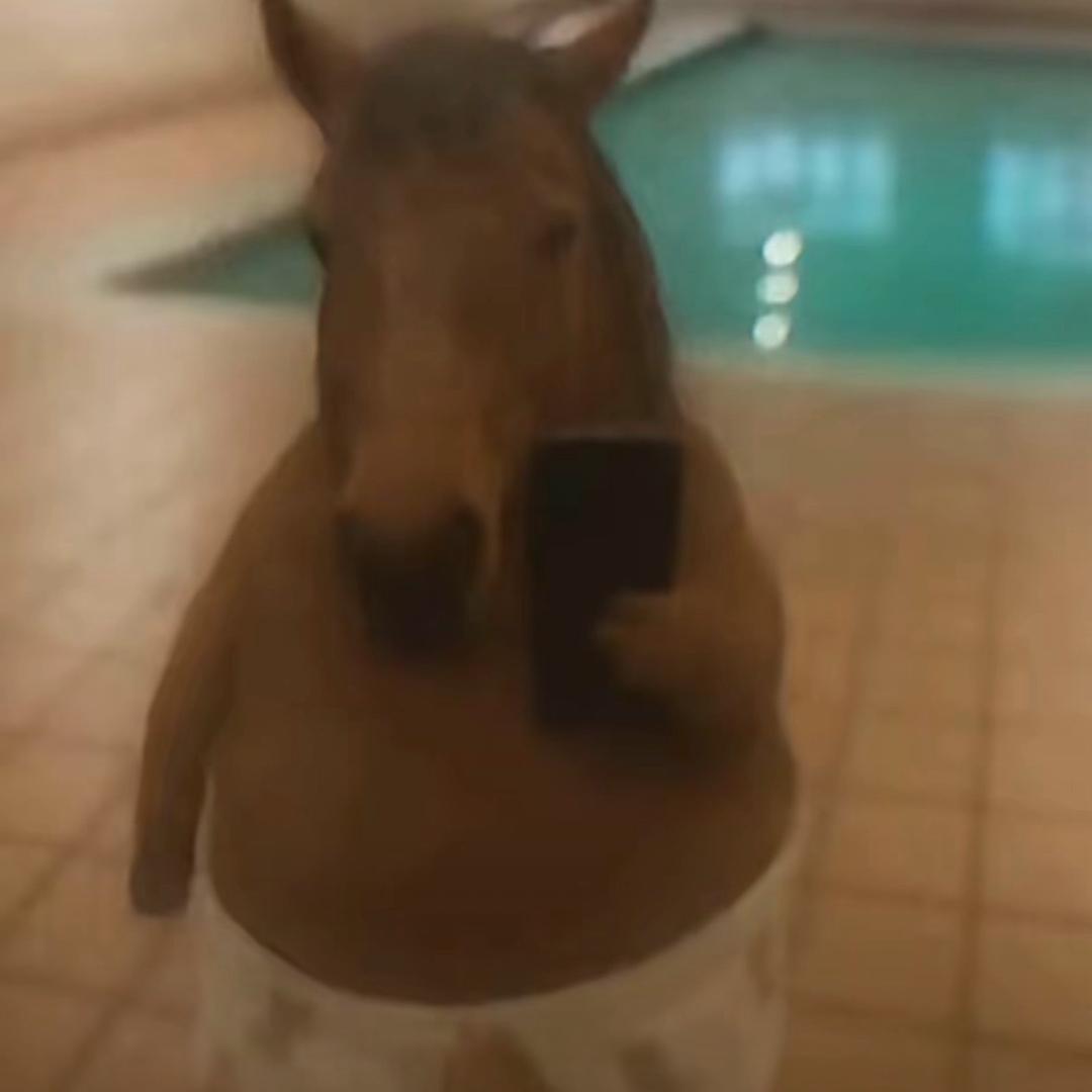 🐎