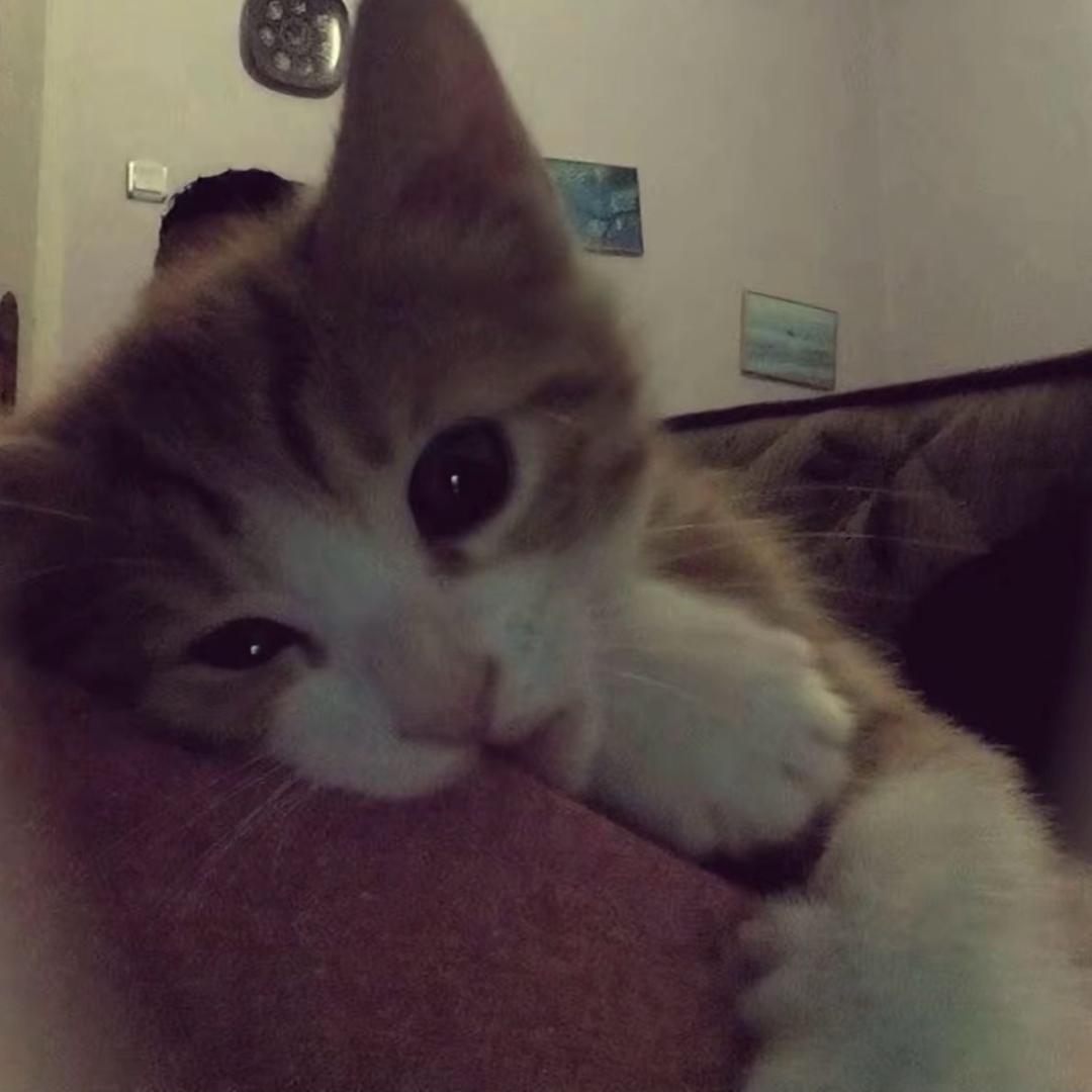 Rosk