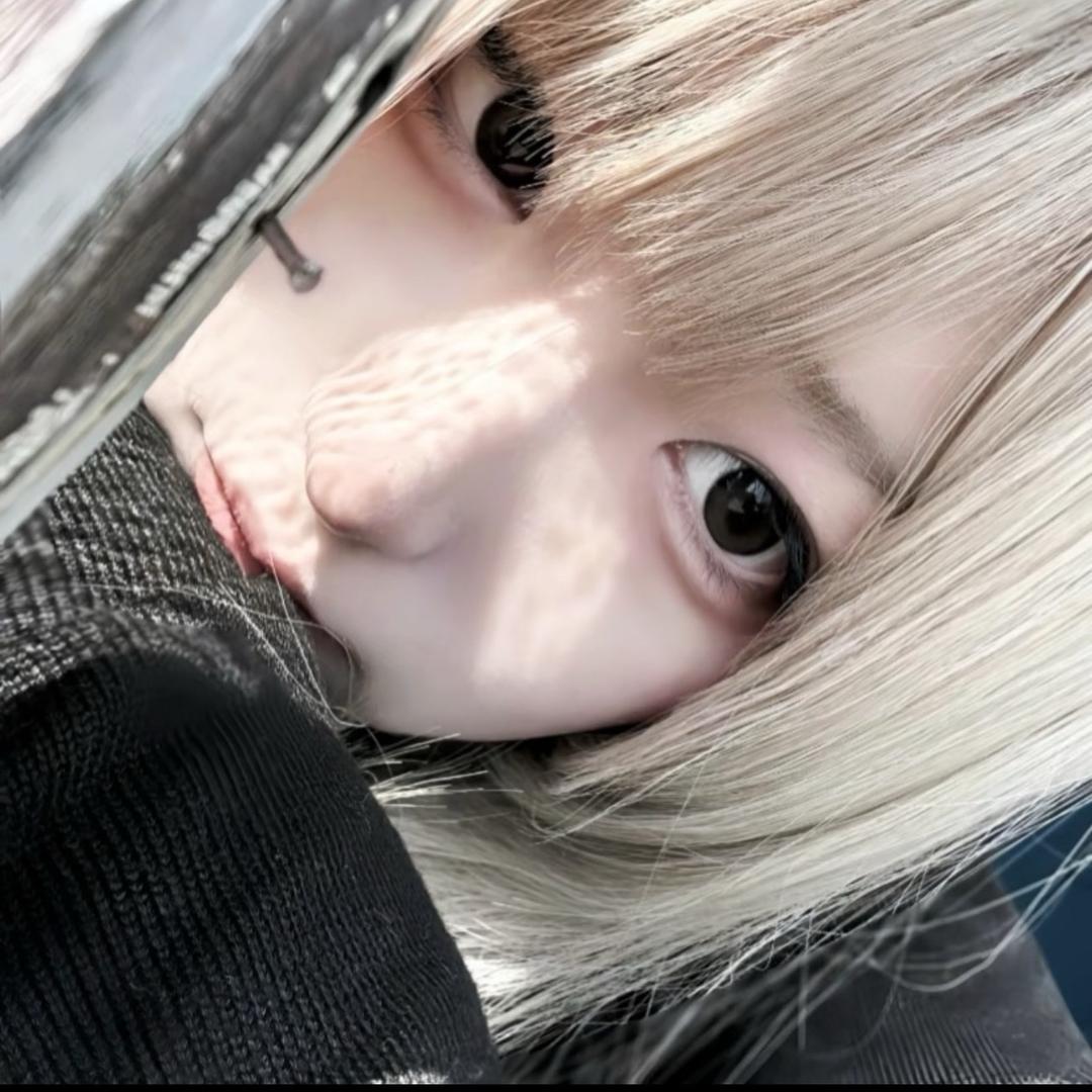 鲨鱼姬CS2