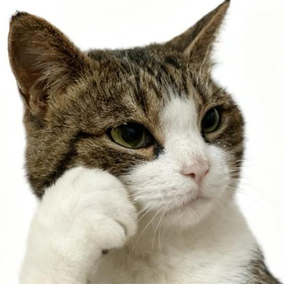 好想做一块面包