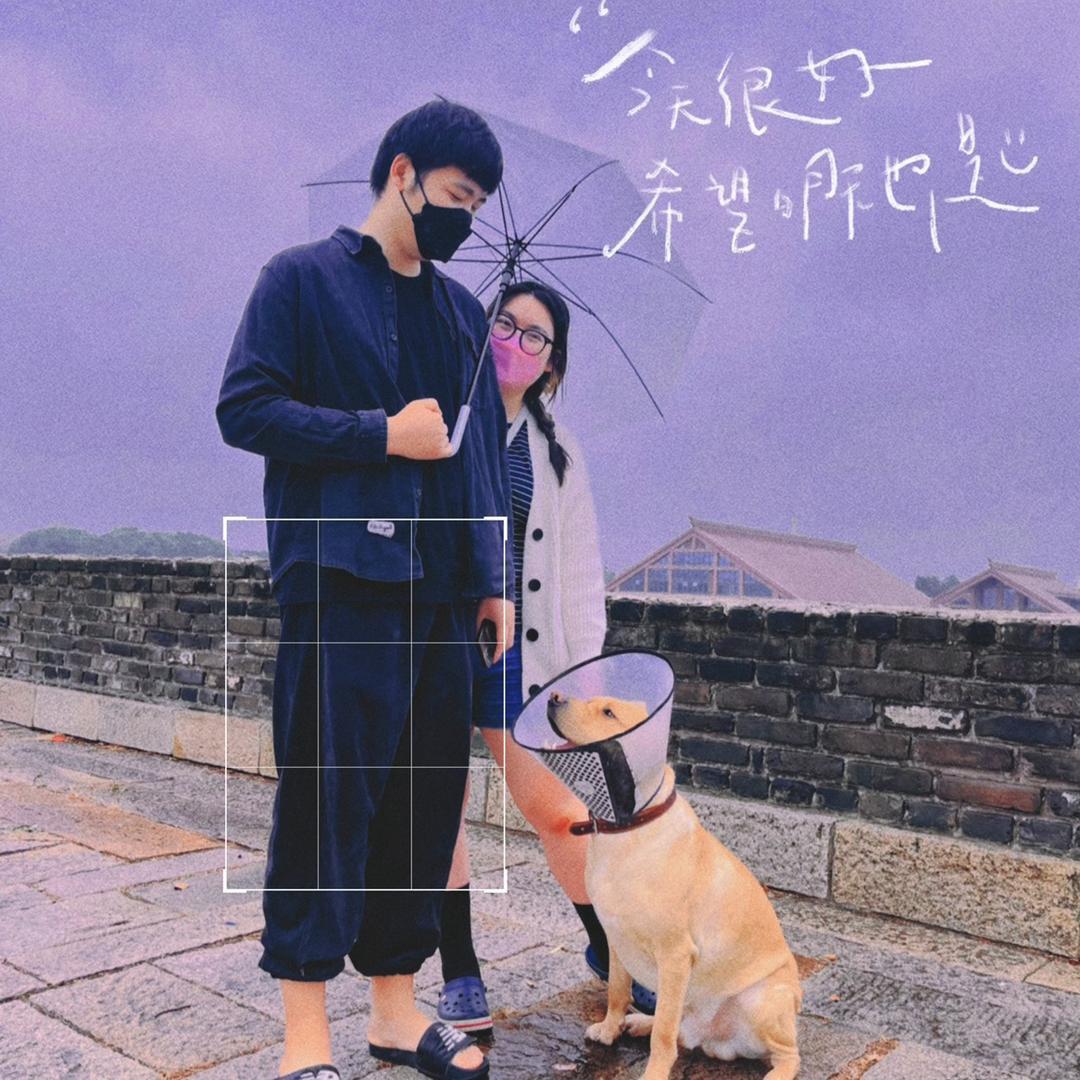 单闪闪和钱多多的日常