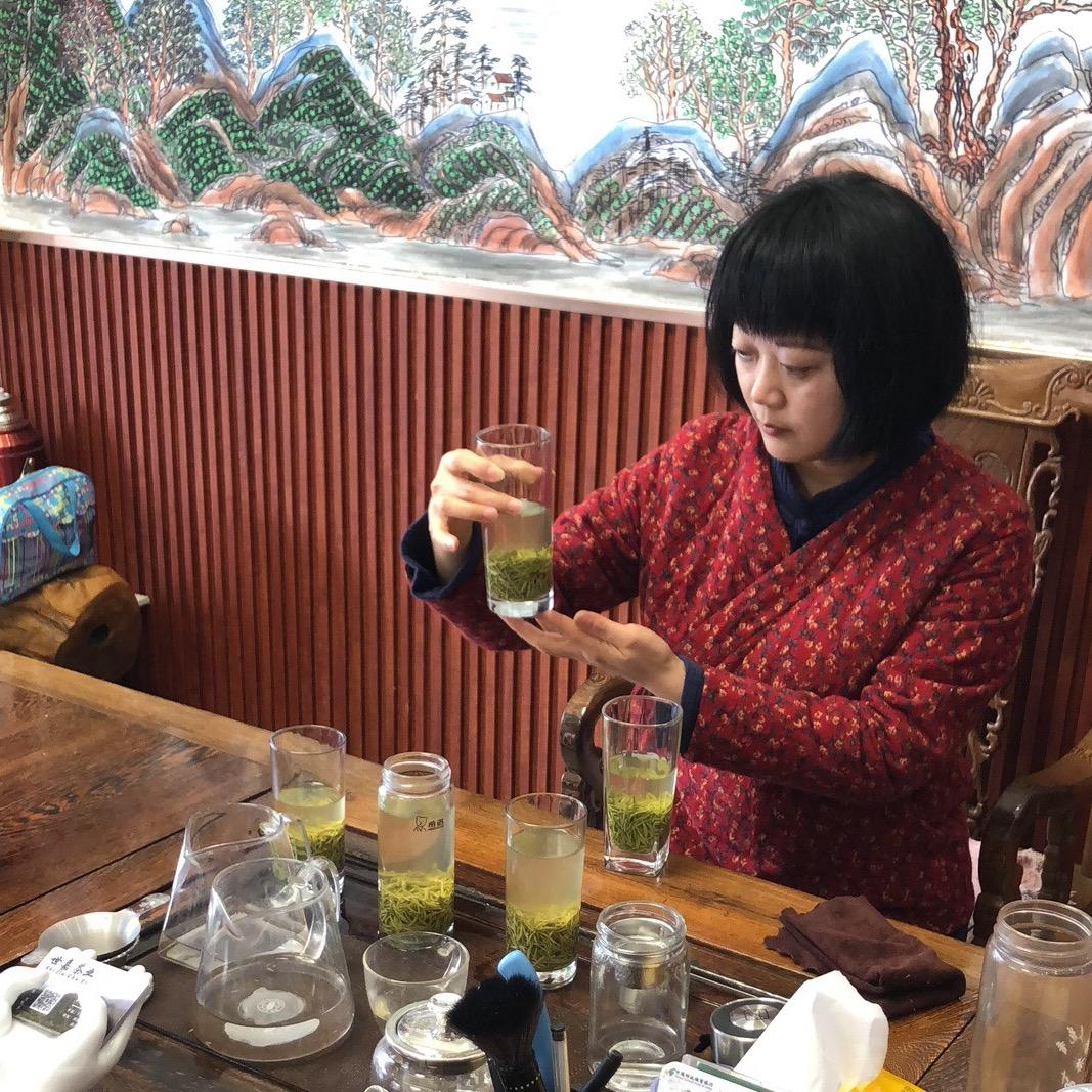 信阳毛尖茶人（2025春茶上市）