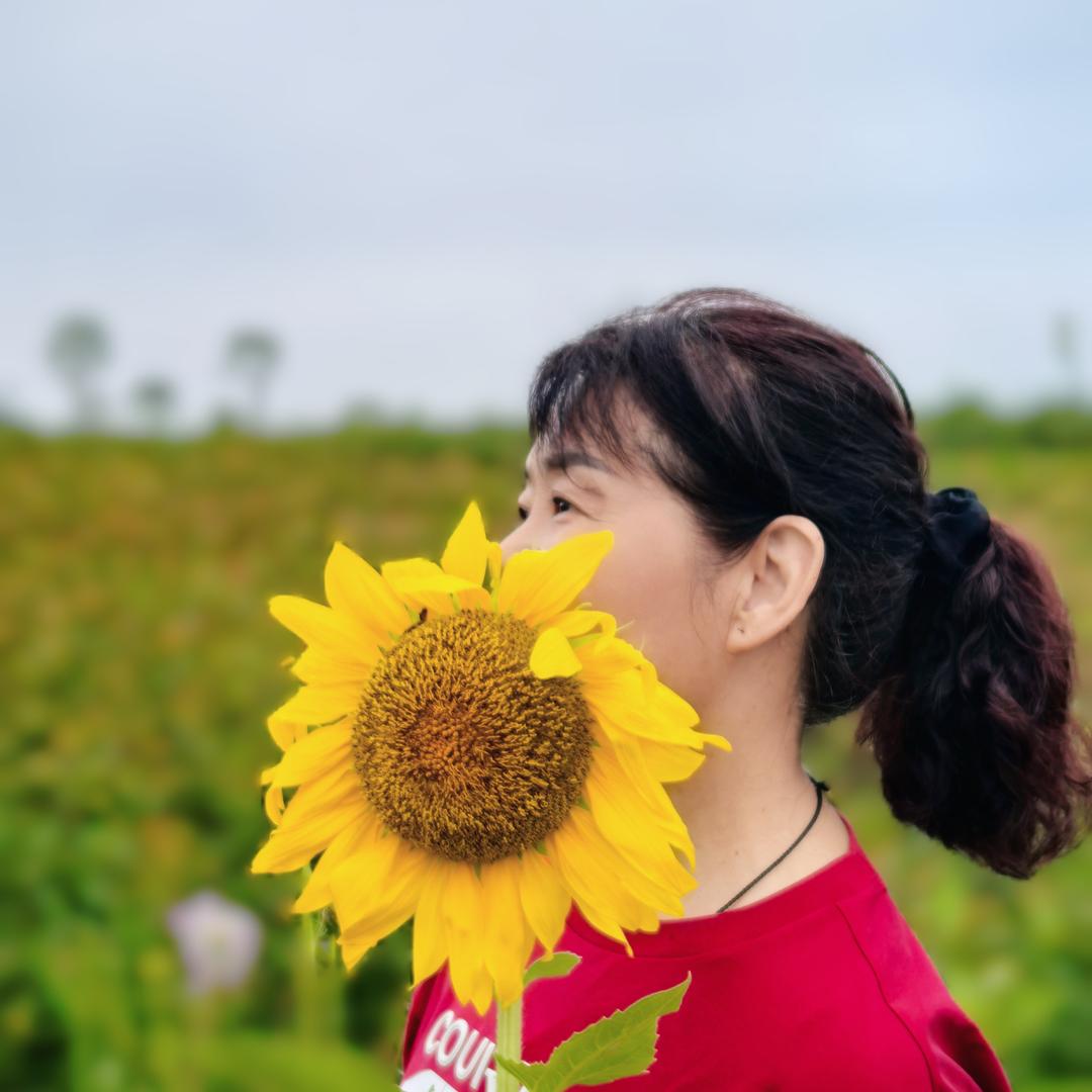 夏之梦