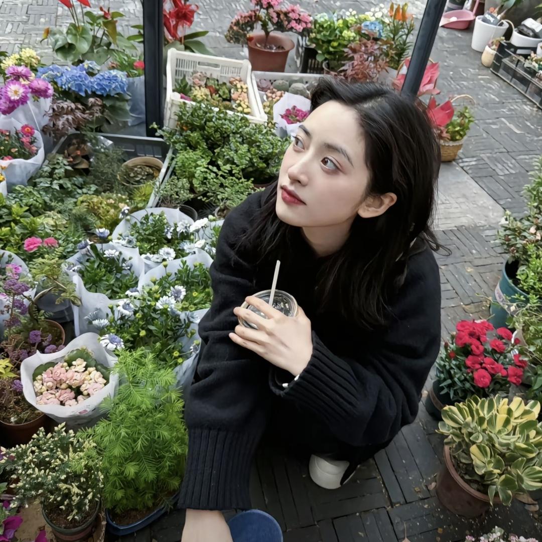 蜘蛛不是昆虫🪲