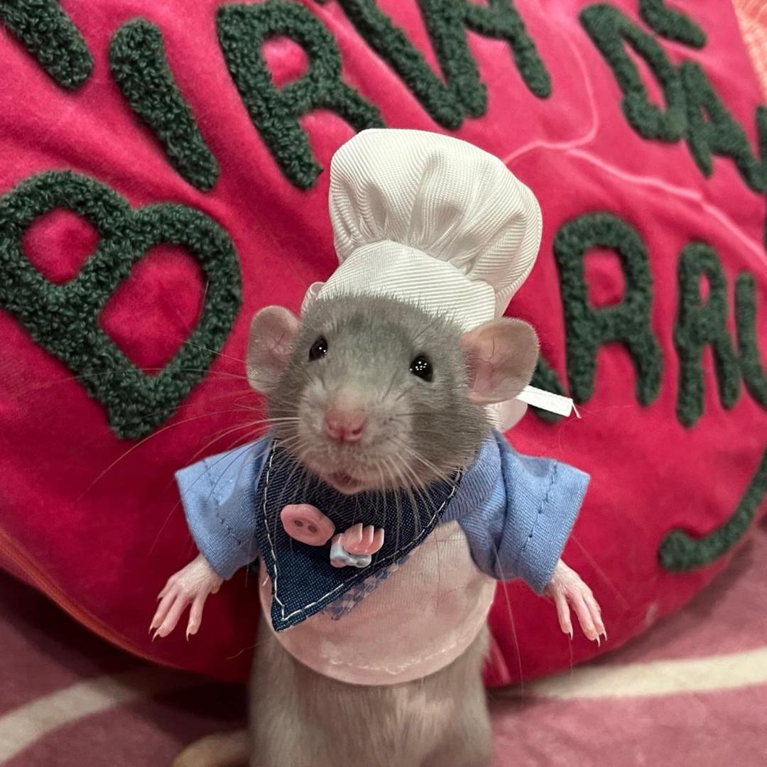 宇宙超级噼里啪啦巨帅霹雳闪电旋风暴龙战士