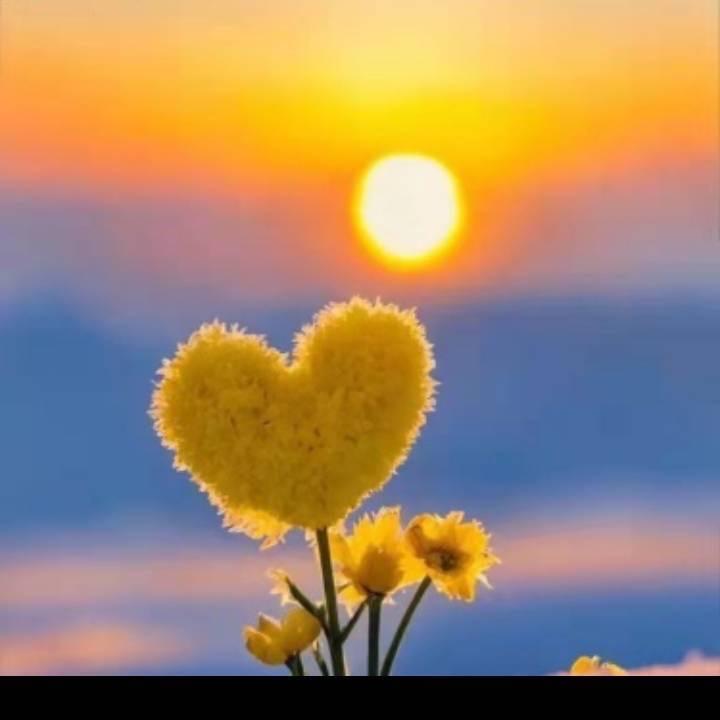 厦门市同安区郝泫越百货店（个体工商户）