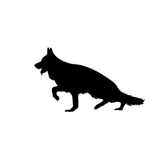 皖北辉煌犬舍