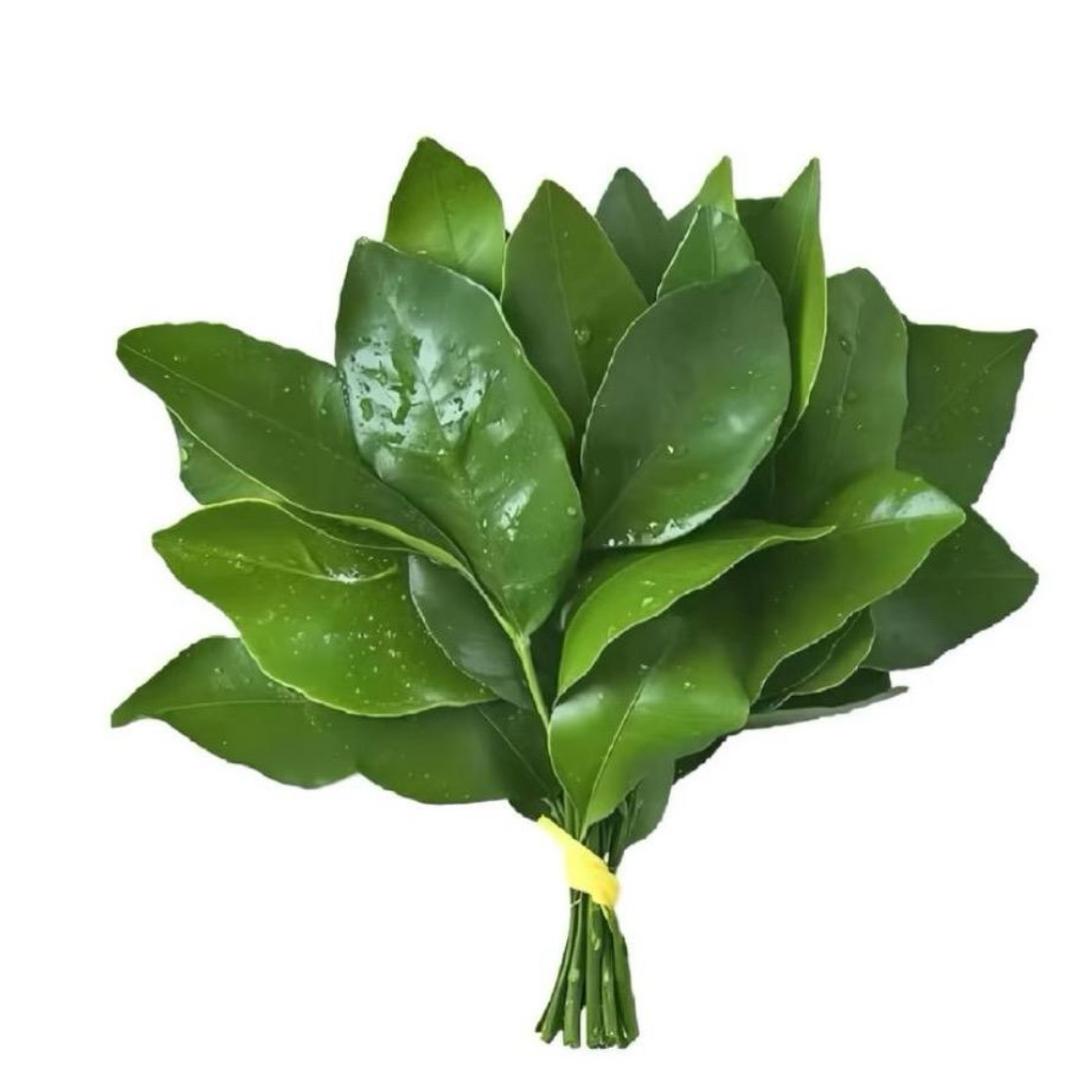 洋芋国小花