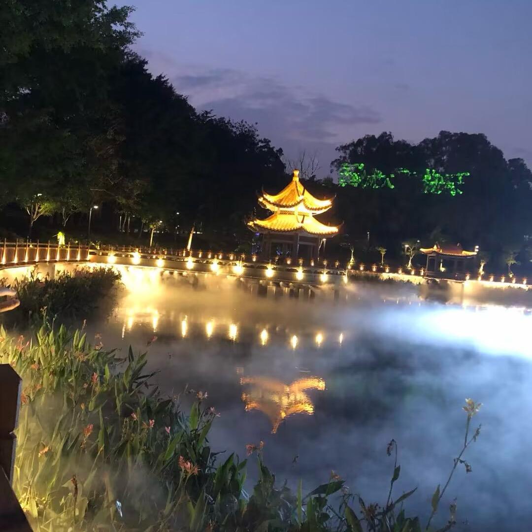 🎣陪伴
