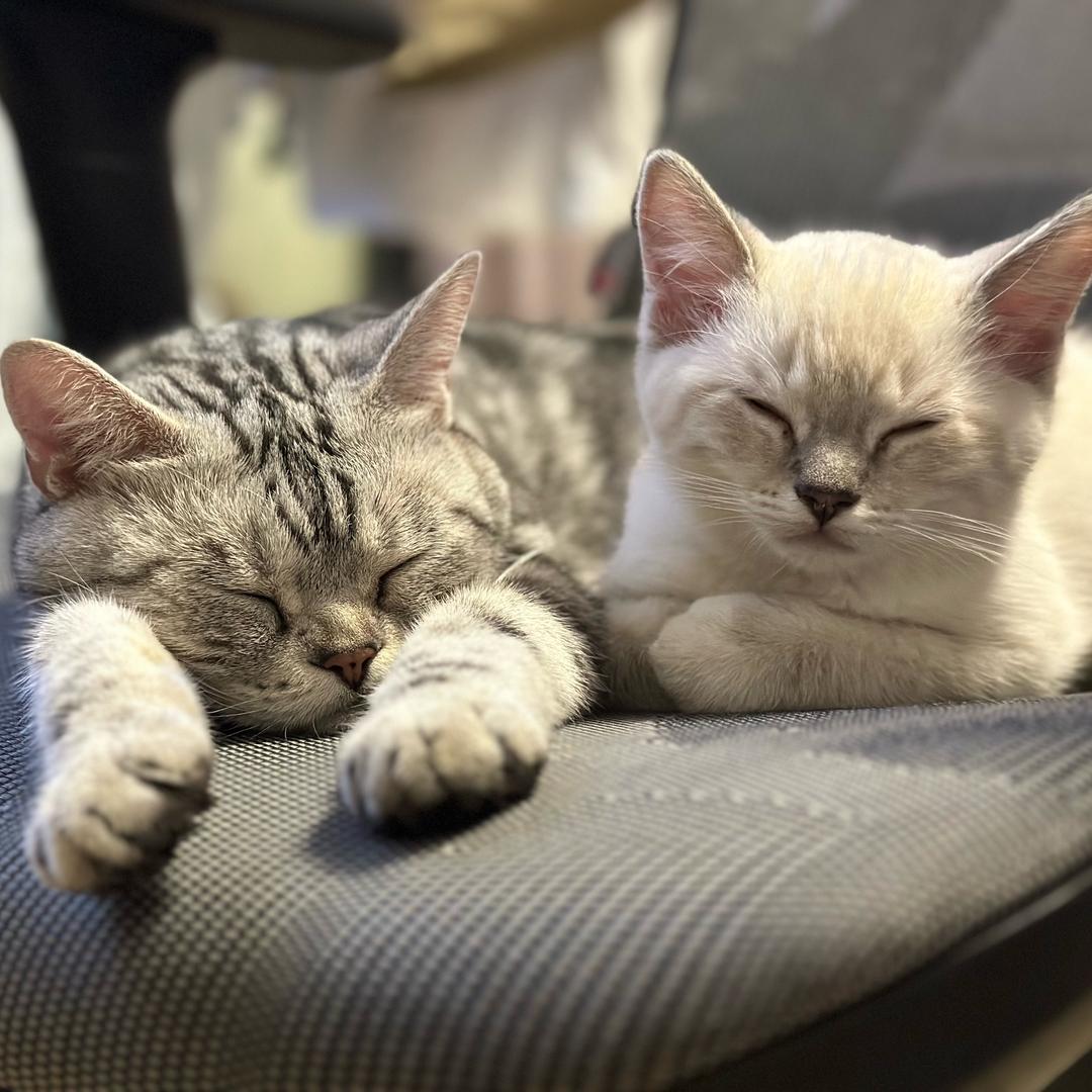 垃圾番毁我青春