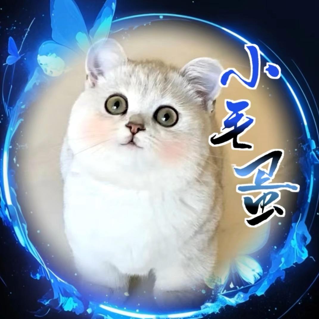 小毛蛋🥚（挂机中🤫）