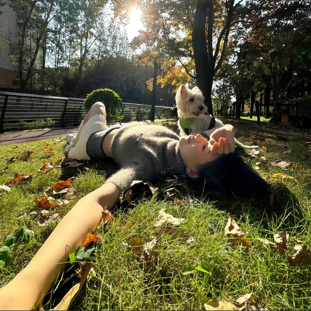 今晚吃什么🍽️