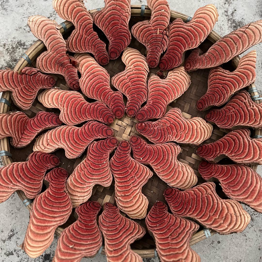 吴药药