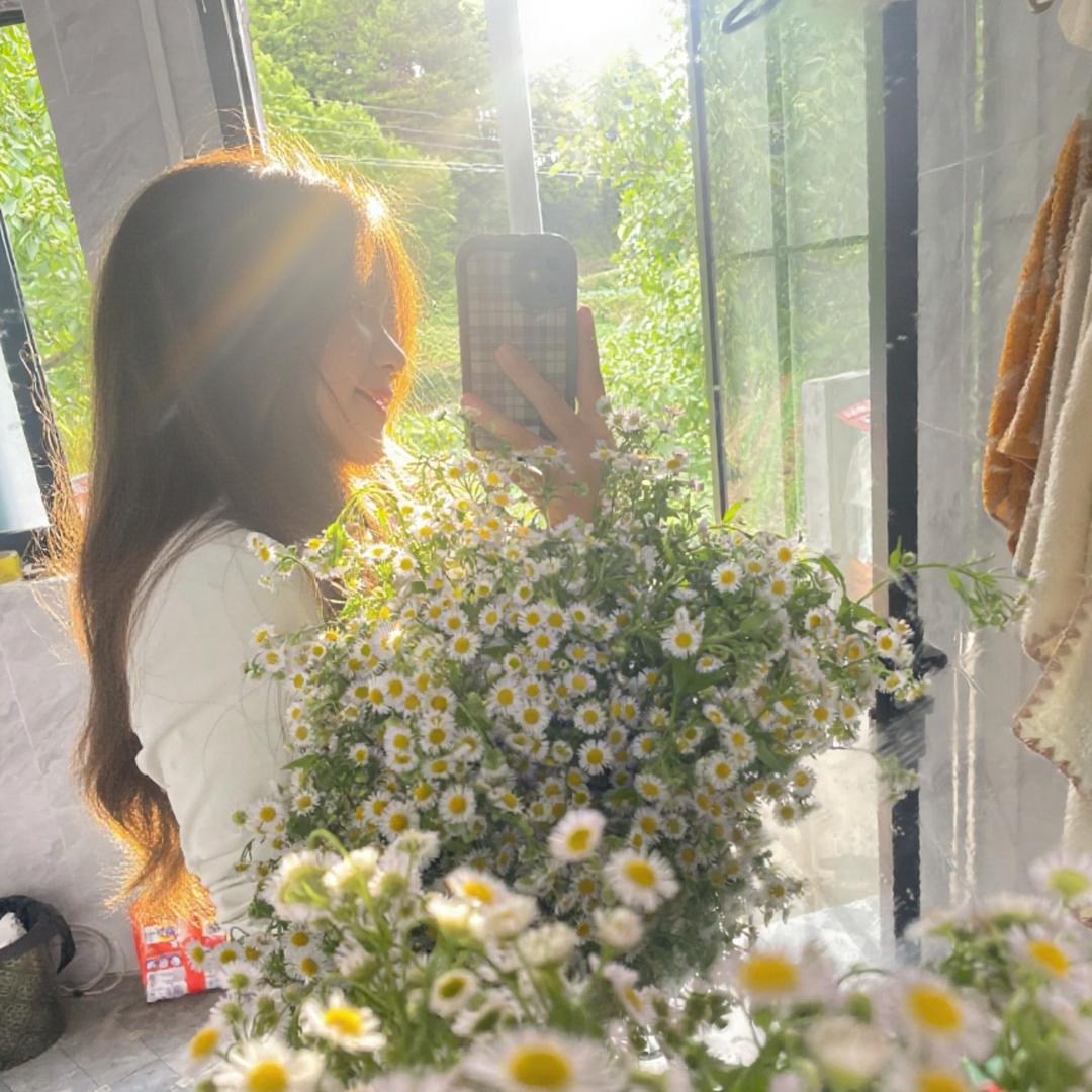 番茄你个西红柿