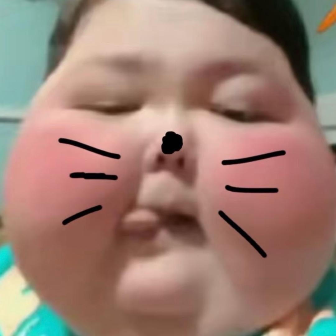 小 猪