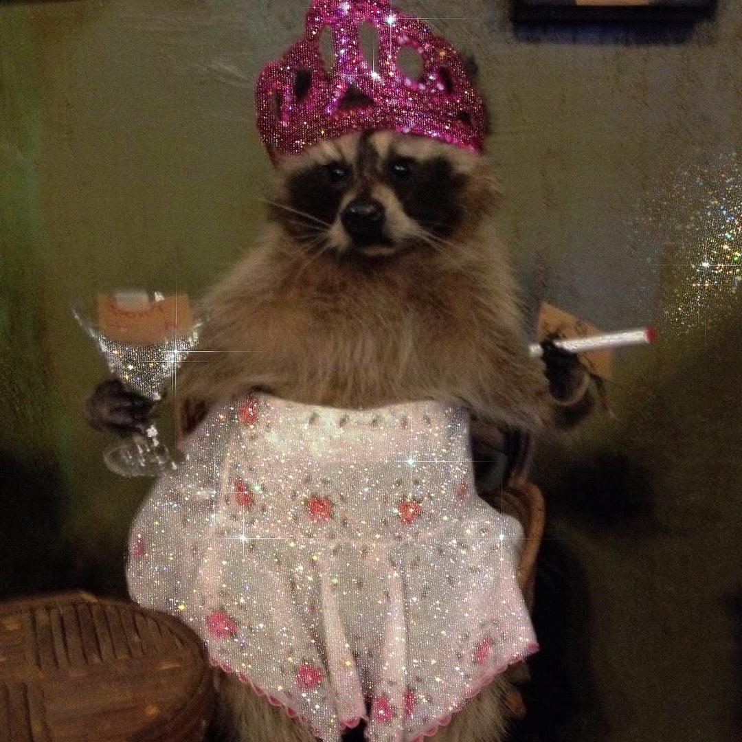 还我妈生鼻欧巴