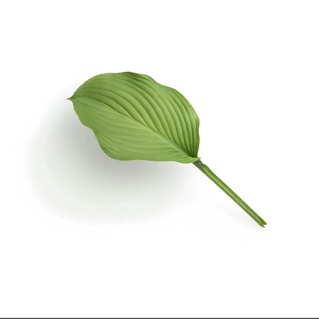 ·