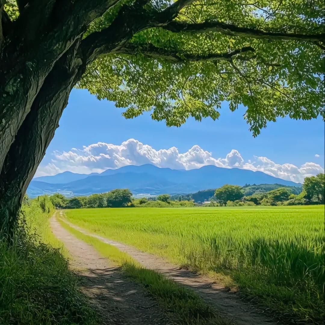 文朵爱生活