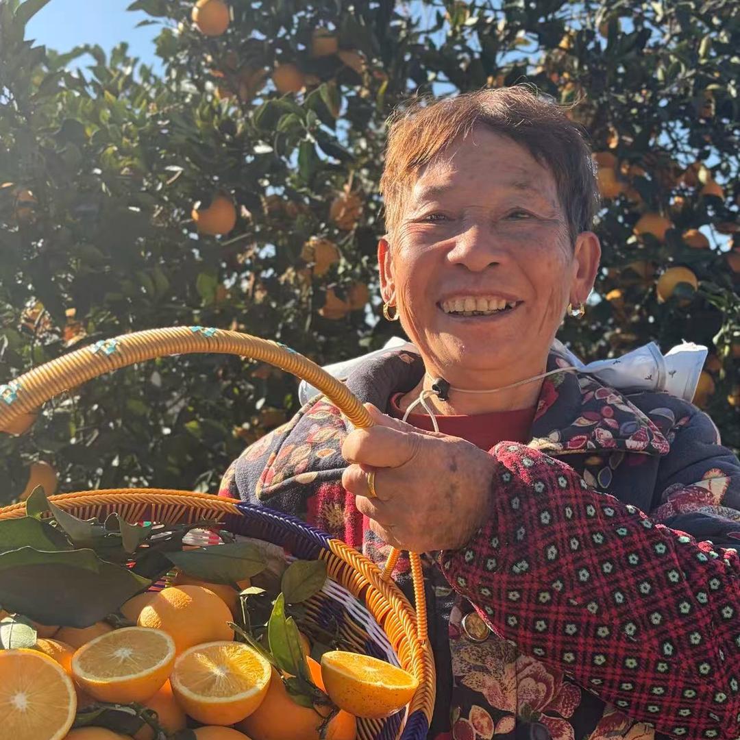 山里阿婆的橙子