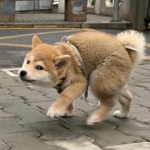 招财啥时候能招财