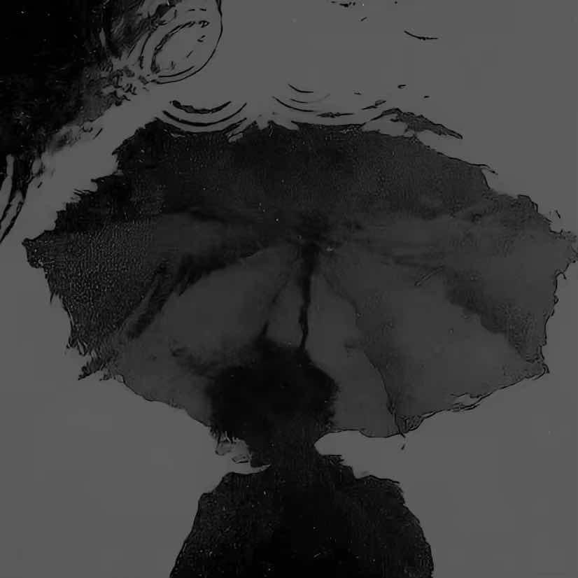 我就是传说中隐藏身份的人