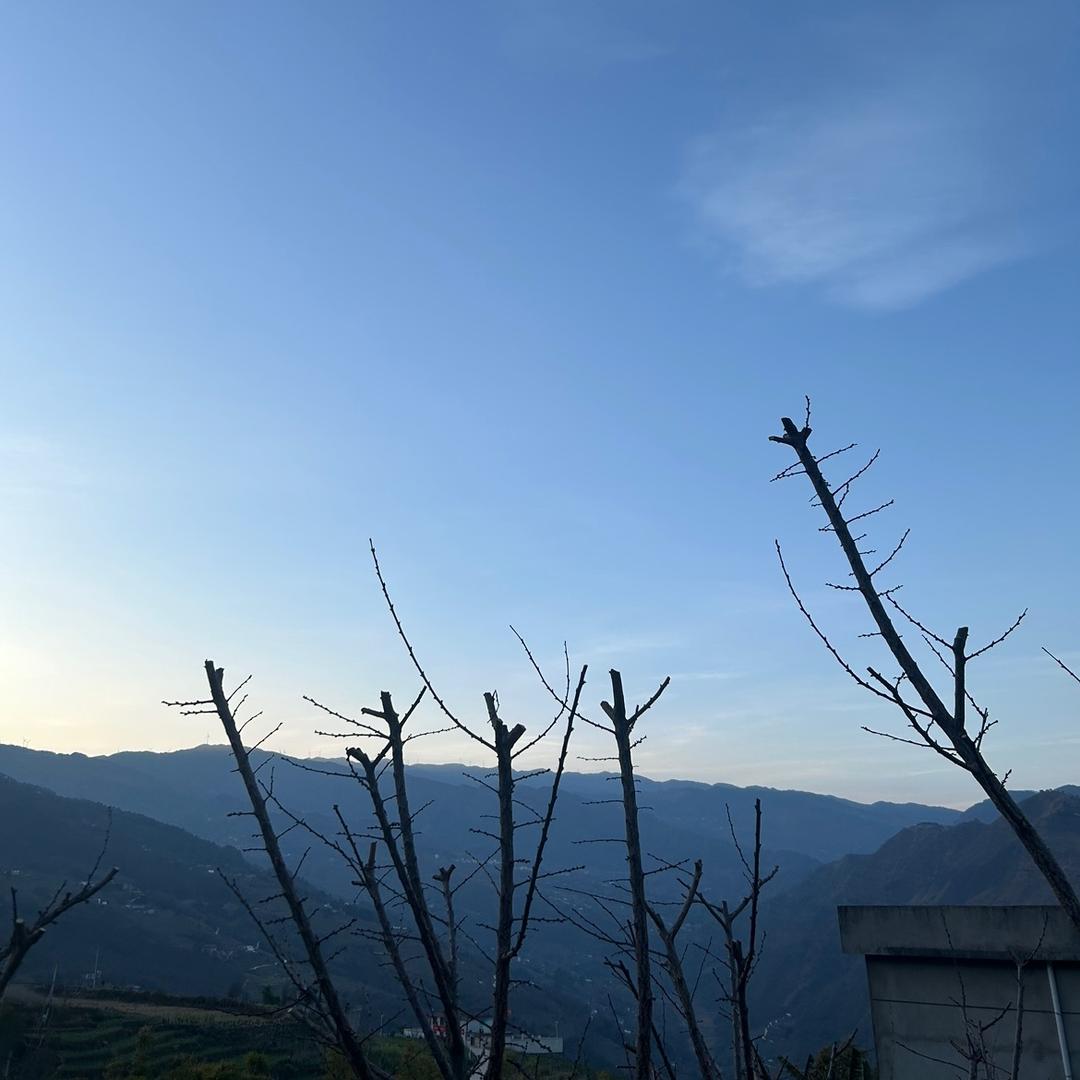 鳄鱼爱上金丝雀