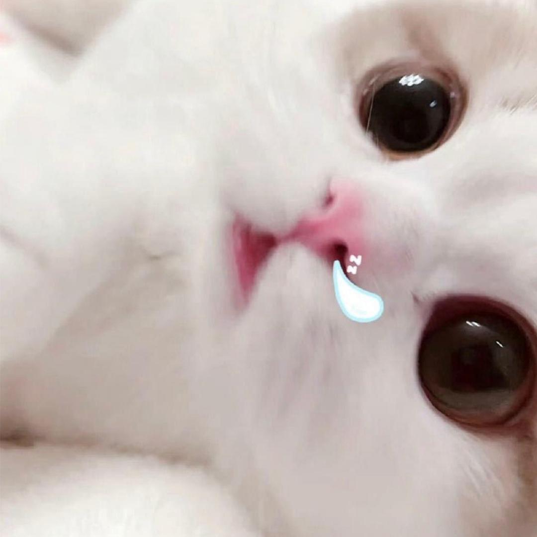 吃颗糖吧