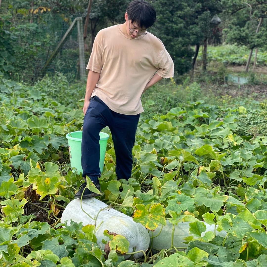 极目绿野