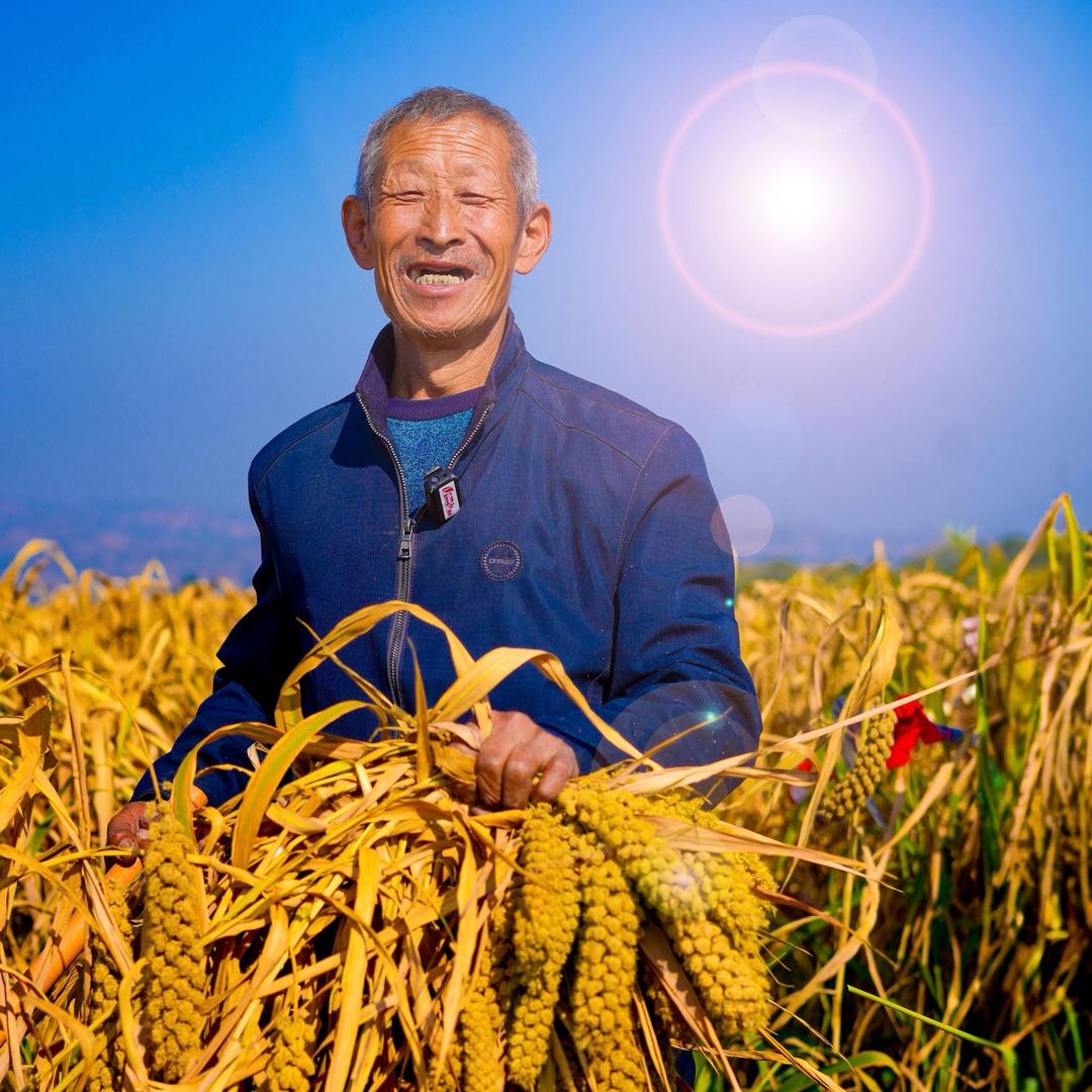 山西晋皇杂粮店