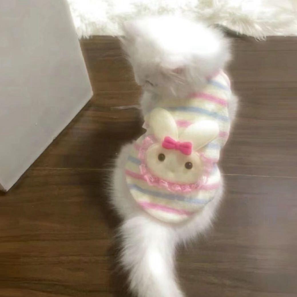小基杏子