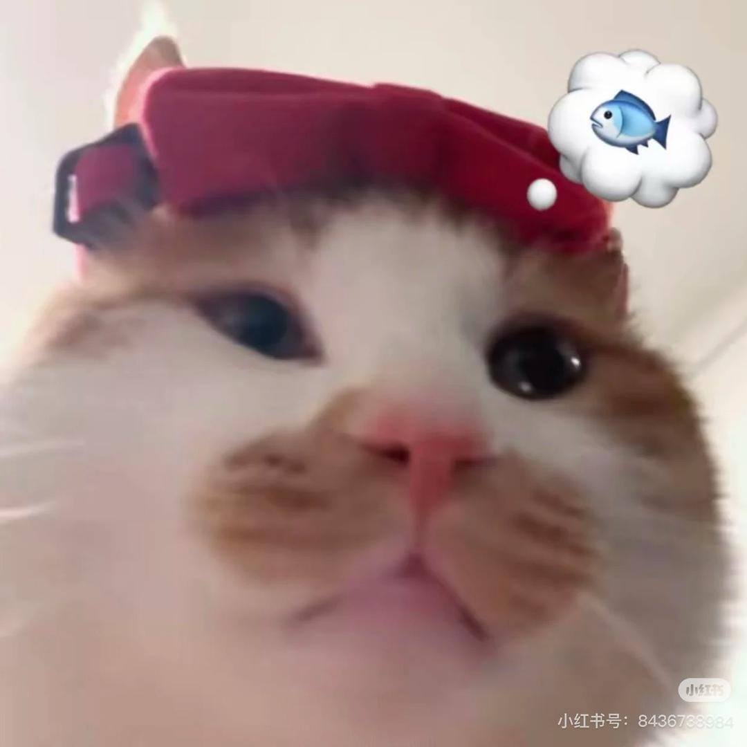 小圆