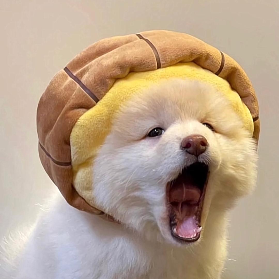 ᢉ𐭩. Yuᗜan ｡꩜˚.