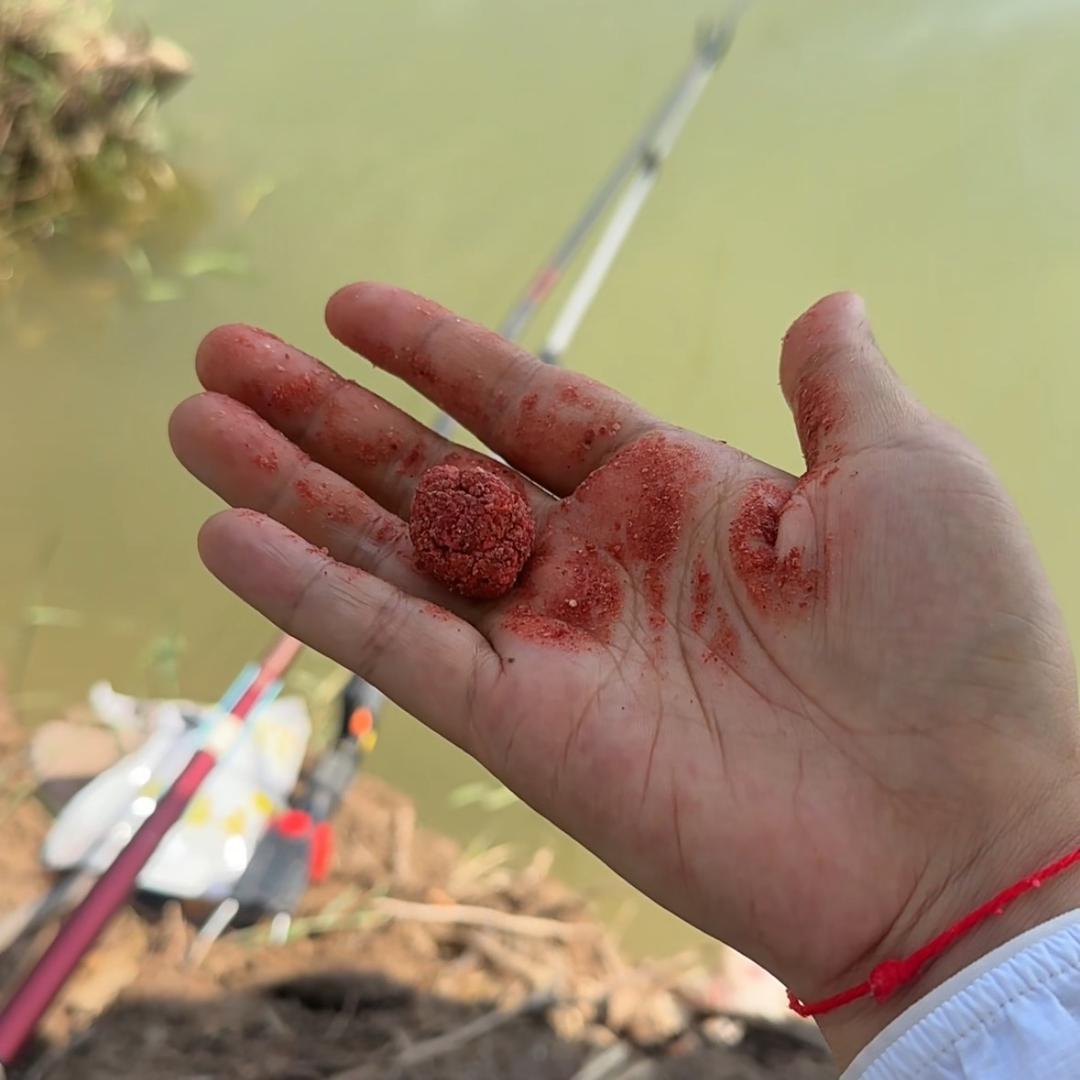 钓鱼女达人🎣
